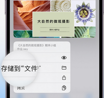 南明apple维修中心分享iPhone文件应用中存储和找到下载文件