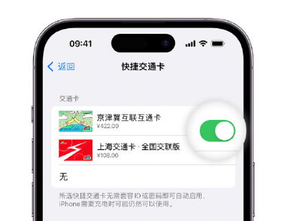 南明apple维修点分享iPhone上更换Apple Pay快捷交通卡手绘卡面 