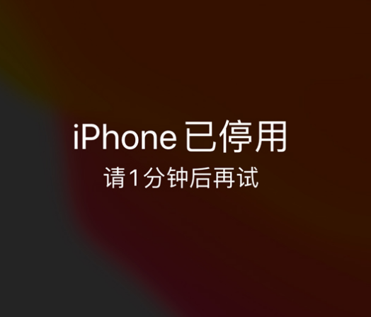 南明苹果手机维修分享:iPhone 显示“不可用”或“已停用”怎么办？还能保留数据吗？ 