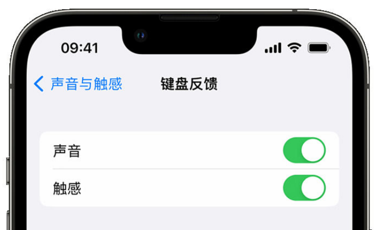 南明苹果手机维修分享iPhone 14触感键盘使用方法 