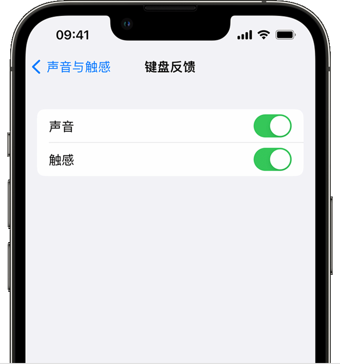 南明苹果14维修店分享如何在 iPhone 14 机型中使用触感键盘 