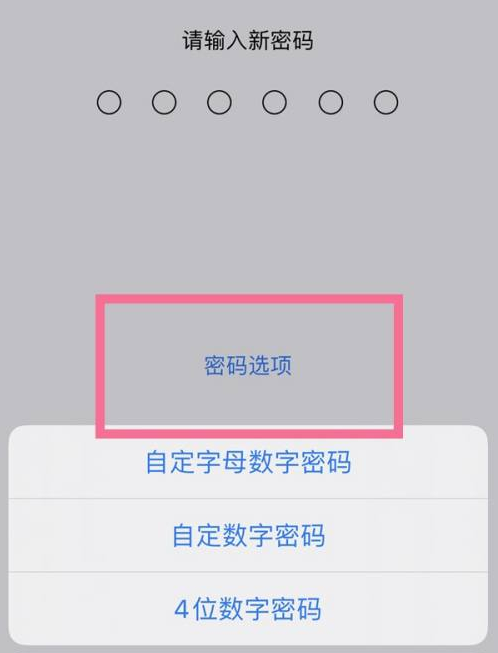 南明苹果14维修分享iPhone 14plus设置密码的方法 