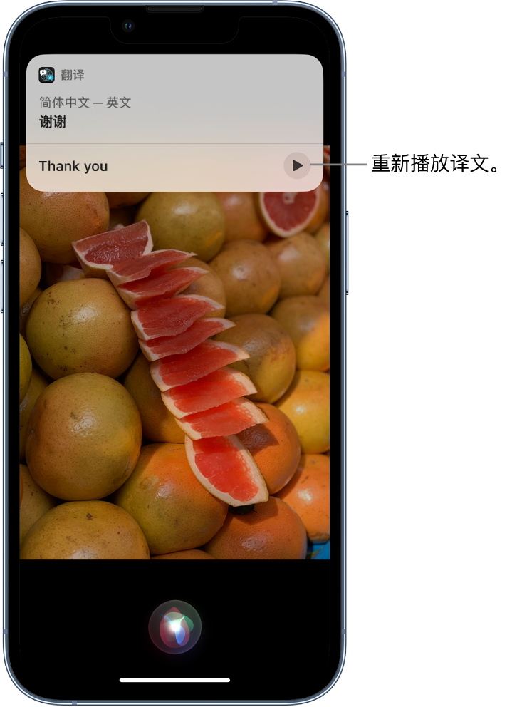 南明苹果14维修分享 iPhone 14 机型中使用 Siri：了解 Siri 能帮你做什么 