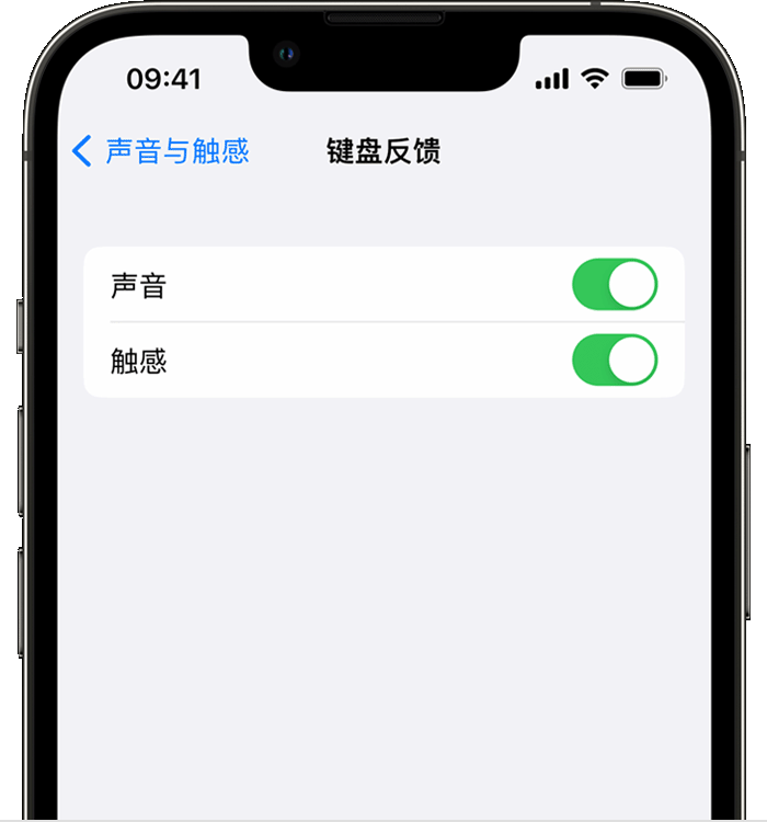 南明苹果14维修分享iPhone 14 系列机型如何开启键盘声音或触感反馈 