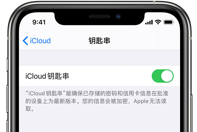 南明苹果手机维修分享在 iPhone 上开启 iCloud 钥匙串之后会储存哪些信息 