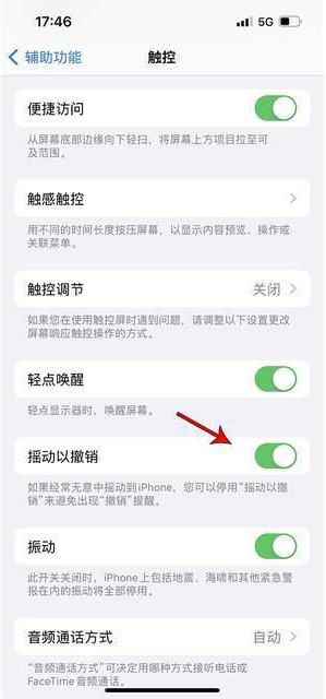 南明苹果手机维修分享iPhone手机如何设置摇一摇删除文字 